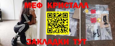 крисы Кингисепп