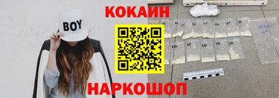 крисы Кингисепп