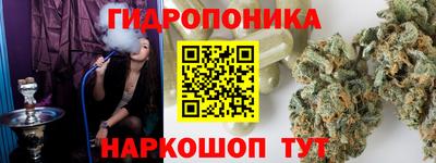 крисы Кингисепп