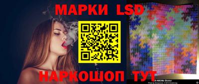 крисы Кингисепп