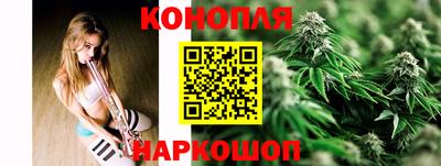 крисы Кингисепп