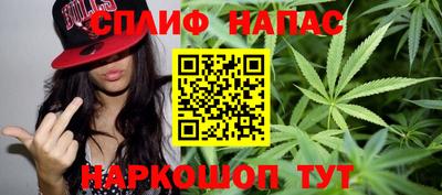 крисы Кингисепп
