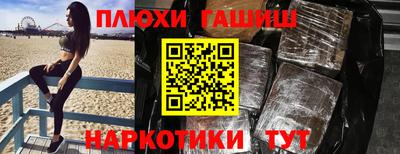крисы Кингисепп