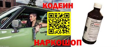 крисы Кингисепп