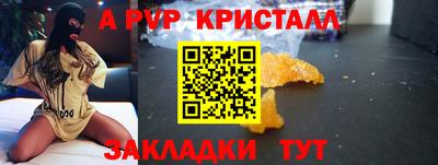 крисы Кингисепп